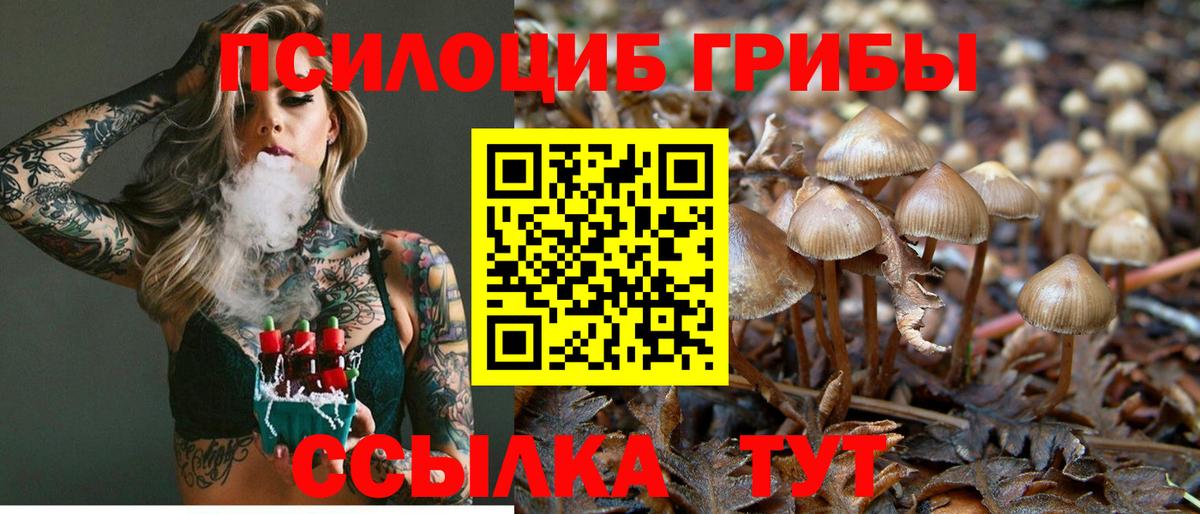 Псилоцибиновые грибы GOLDEN TEACHER  Вход с VPN  Псилоцибиновые грибы MAGIC MUSHROOMS  Полысаево 